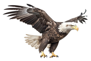 Bald eagle flying isolated on white, transparent background, PNG