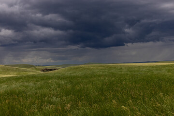 Storm over Grasslands