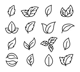 Linear black icons leaves and branches set - 620630834