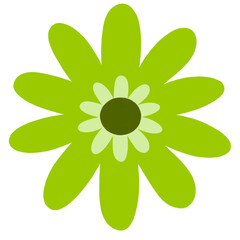 Cute Colorful Flowers