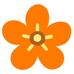 Cute Colorful Flowers