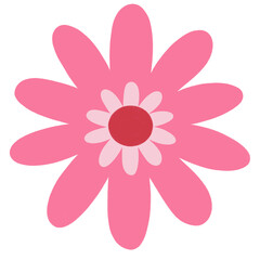 Cute Colorful Flowers