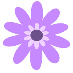 Cute Colorful Flowers