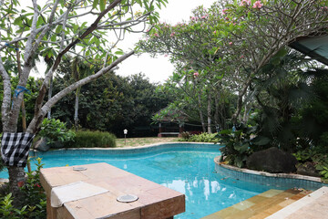exterior  view of swimming pool with plants floating in the surface on the back yard