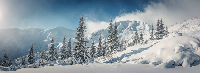 Winter landscape with snow covered forest. Creative image. winter holiday concept.