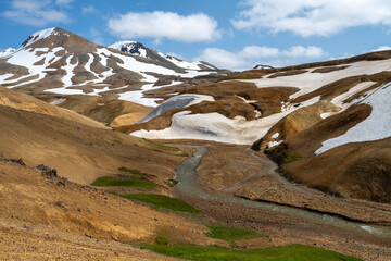 Fototapeta na wymiar magnificent wildlife landscapes in Iceland