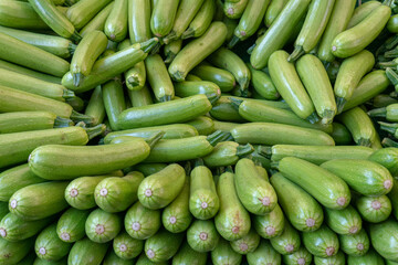 Fresh green zucchinis, meticulously arranged, embody the essence of a vibrant market stall, forming a pattern of green zucchinis, sure to captivate organic food enthusiasts.