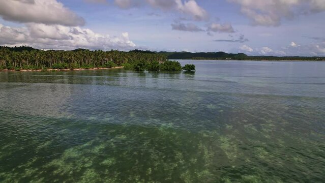 Drone footage. Aerial view of beach as main subject in Philippines. Dolly near waves witj jungle next to it and mangerove.