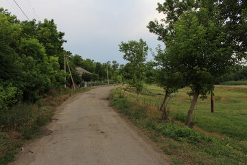 Fototapeta na wymiar A road with trees and grass