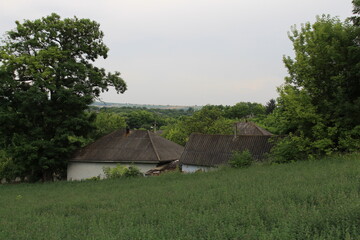 A house in a grassy area © parpalac