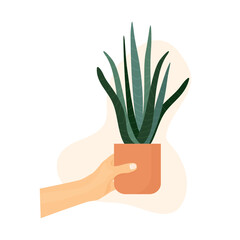 hand holding houseplant - vector illustration