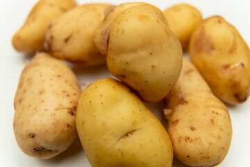 new jersey potatoes on white background  