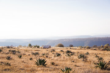 Casa en la montaña 