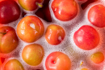 Naklejka na ściany i meble Top view of some plums washing in water and foam
