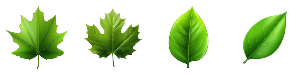 Obraz premium Leaf clipart collection, vector, icons isolated on transparent background