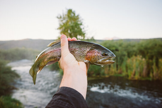 Holding a fish in Colorado on the river 