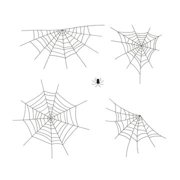 Cobweb and spider vector illustration. Groovy boho magic print design. Mystical Halloween vibes clipart.