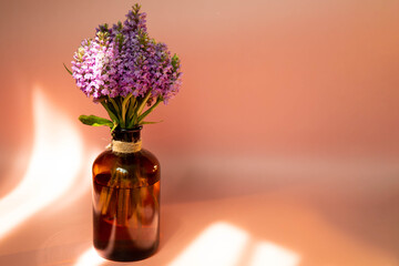 Purple flowers in a glass vase on a pink or peach background