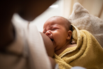Newborn baby sucking milk from mothers breast