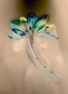 Petals with fishbone