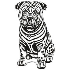 Chinese Shar Pei dog realistic pencil drawing in vector, line art illustration of dog face black and white sketch drawing