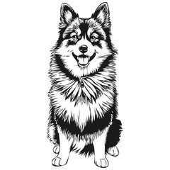 Finnish Lapphund dog hand drawn logo drawing black and white line art pets illustration realistic breed pet