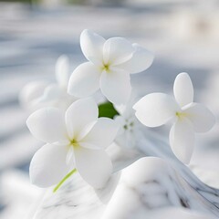 white flowers in the snow