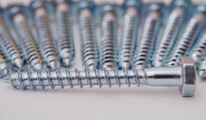 screw on metal against the background of screws in defocus.
