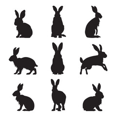 Silhouette hare collection - vector illustration © Анна Лепеха