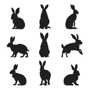 Silhouette hare collection - vector illustration