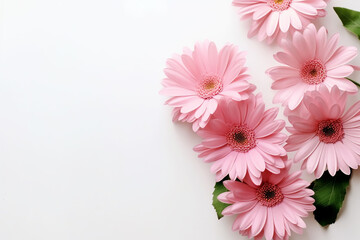 Pink Flowers Composition on White Background - Created with Generative AI Tools