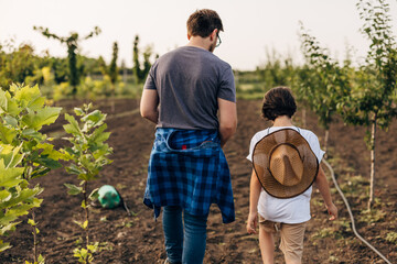 Back view of a father and his son walking trough tree plantation.
