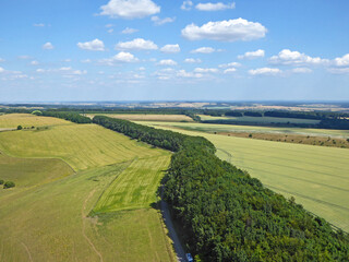 Fototapeta na wymiar Aerial view of Monk's down, Wiltshire