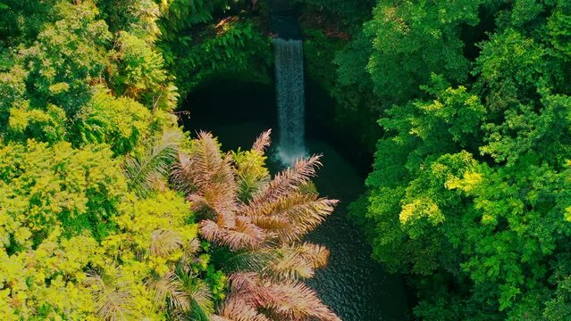 Amazing waterfall hidden in tropical rainforest. Beautiful nature background. 4K
