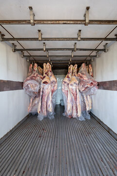 Animal carcasses being transported from butchery in refrigerated truck