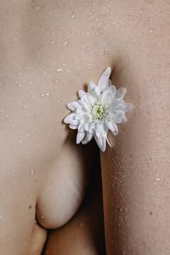 Closeup photo of woman's body skin texture 