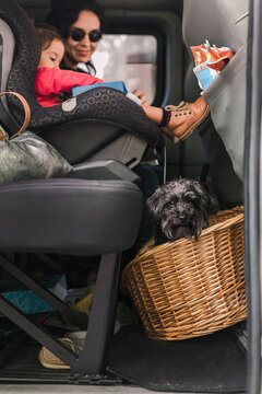 Dog, Mother and Daughter in the Family Van