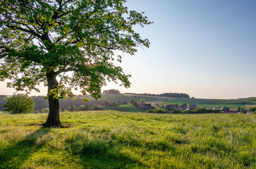 Fototapeta na wymiar Landscape on the country in Germany