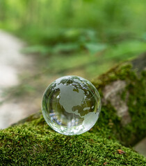Obraz na płótnie Canvas glass earth globe in forest