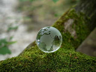 glass earth globe in forest