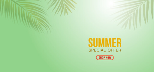 Fototapeta na wymiar Summer sale background with Tropical leaves,Summer sales promotion.Tropical Coconut leaves frame. vector illustration
