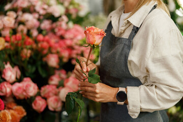 Close up of woman florist flower shop owner hold rose on floral background. High quality photo