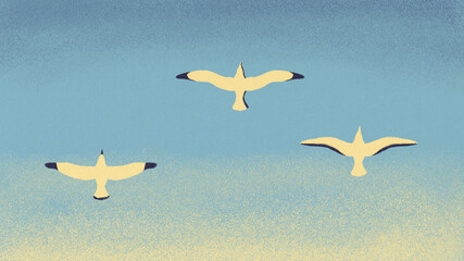 Flying Seagulls Illustration