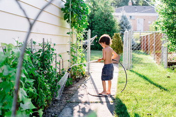 Young boy waters garden