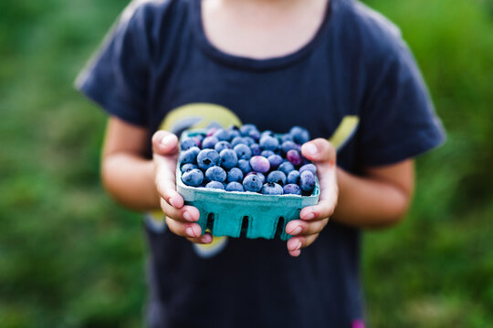 Closeup of blueberries in basket