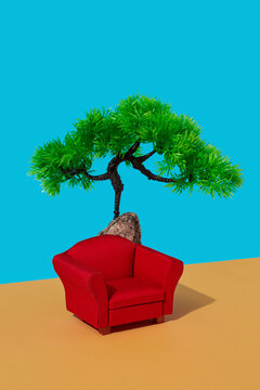 red armchair and pine tree