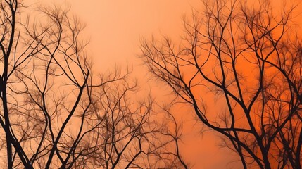  a group of trees with no leaves in the foreground and a red sky in the background with only a few clouds in the distance.  generative ai