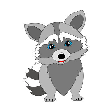 raccoon vector character cute vector
