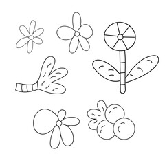 contour flowers safari elements vector graphics