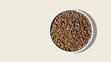 Dog Kibble Food in Bowl on Solid Background